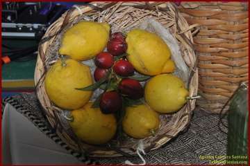  Juan Ramón Melián pregona las fiestas de Los Arenales (Foto TF)